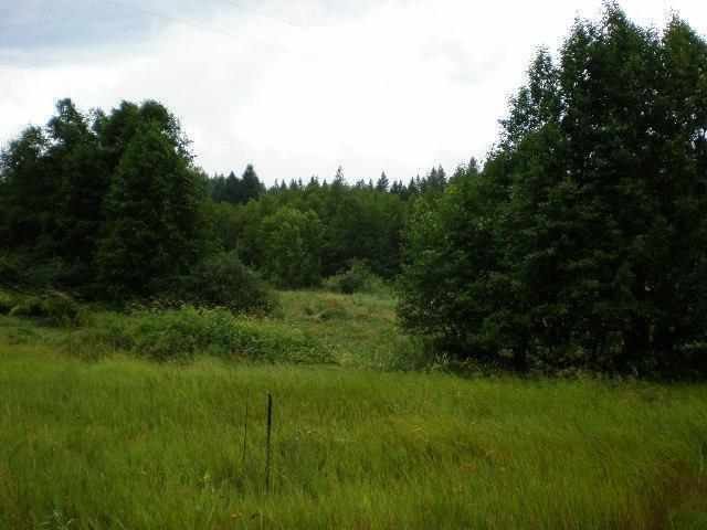 1797 A Swede Pass - Photo 6