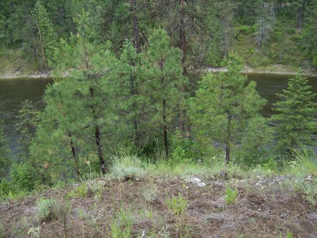 3373BB Sand Creek Rd - Photo 7