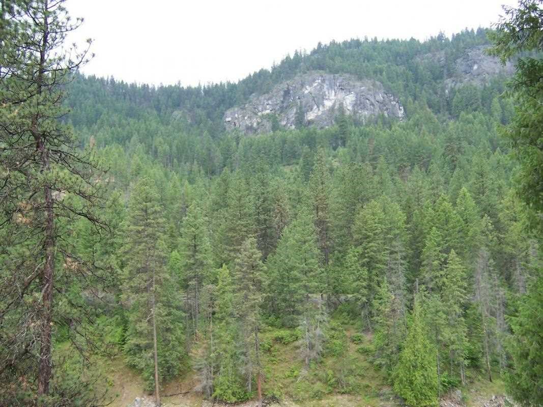 3373BB Sand Creek Rd - Photo 8