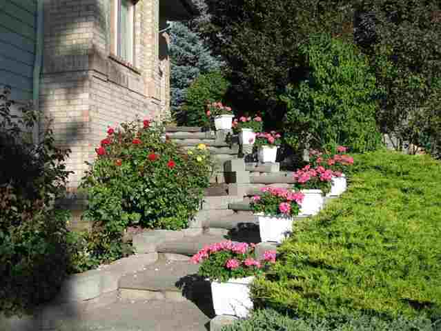 709 N King James Ln - Photo 19
