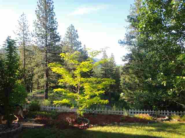 1067 B Cannon Way - Photo 8