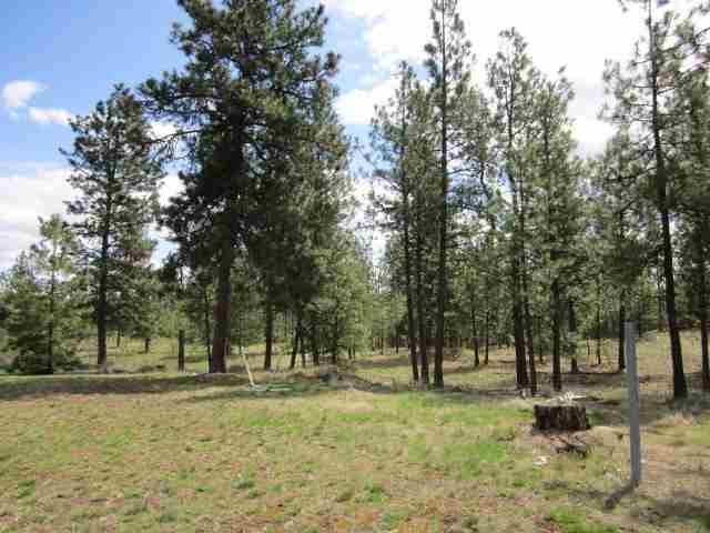 920 E Stutler Rd - Photo 16