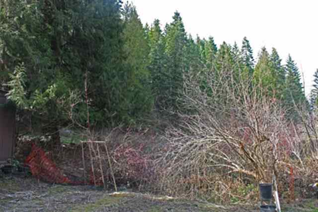 3731 Deeter Rd - Photo 11