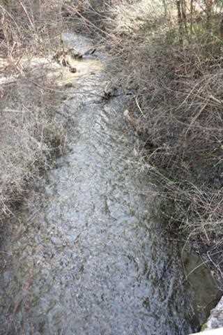 3731 Deeter Rd - Photo 3