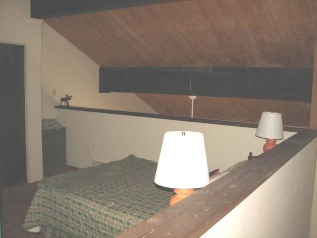 28600 N Mt Spokane Park Dr #410 - Photo 12