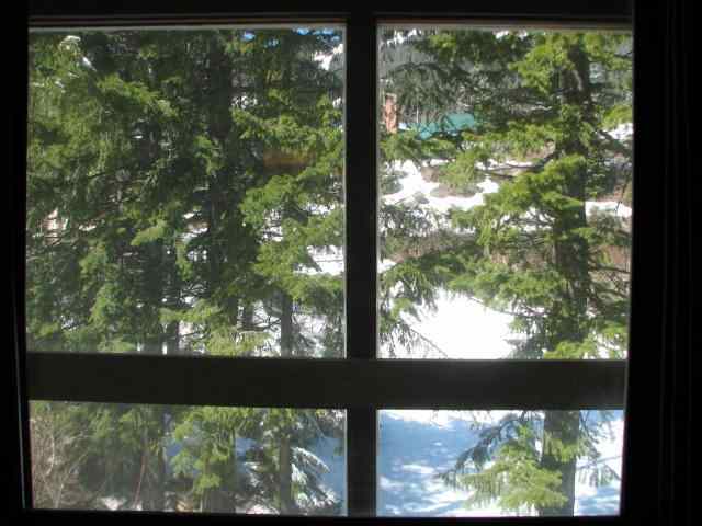 28600 N Mt Spokane Park Dr #410 - Photo 4
