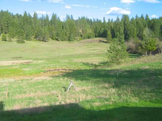 22918 N Day Mt Spokane Rd - Photo 17
