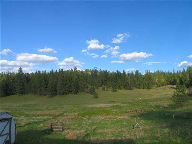 22918 N Day Mt Spokane Rd - Photo 18