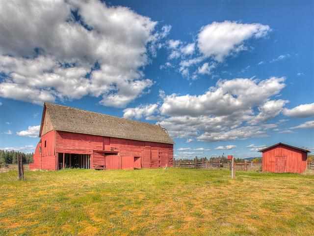 1002 W VIEWMONT Rd - Photo 4