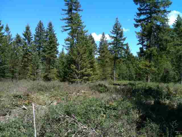 4356 Tombstone - Photo 5