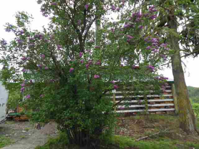 1794 RICKEY CANYON Rd - Photo 15