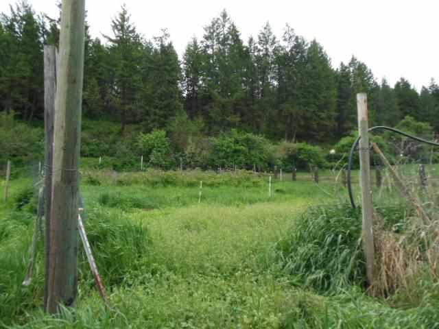 1794 RICKEY CANYON Rd - Photo 17