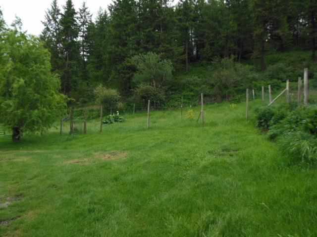 1794 RICKEY CANYON Rd - Photo 18
