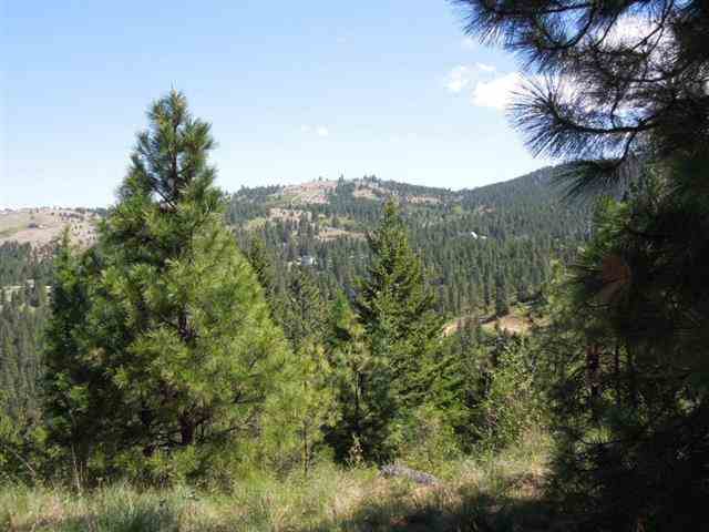 22222 E Saltese Lake Rd. - Photo 18