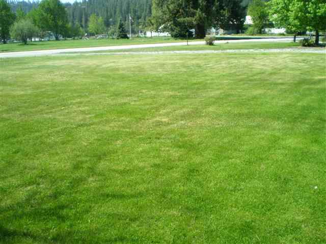 2350 Highline Drive - Photo 13
