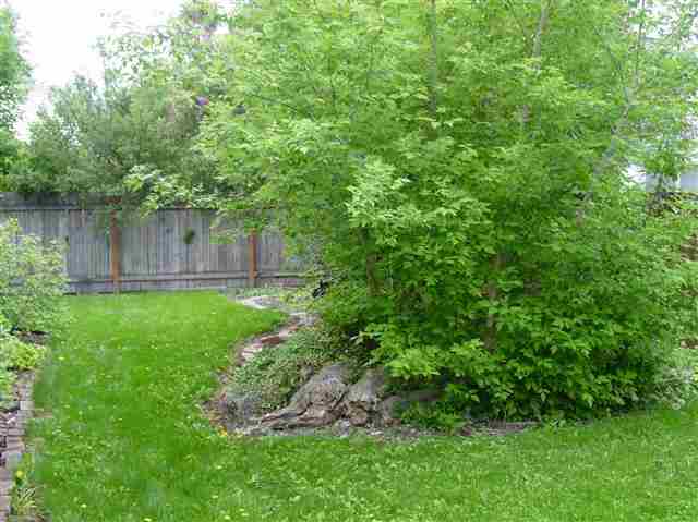 529 E Astor Ave - Photo 17