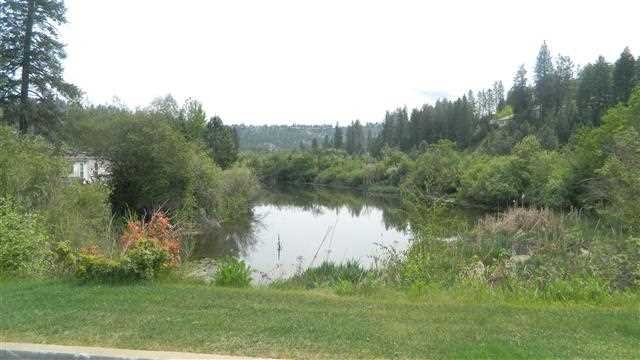 1140 W Sunny Creek Circle - Photo 3