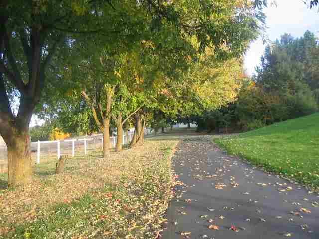 11917 S Kiesling Rd - Photo 4