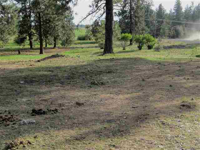 20005 S Spangle Creek Rd - Photo 16