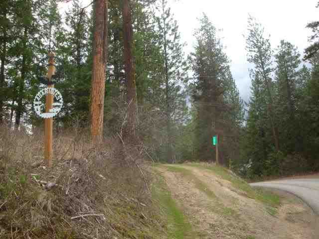 13510 N Peninsula Dr - Photo 6