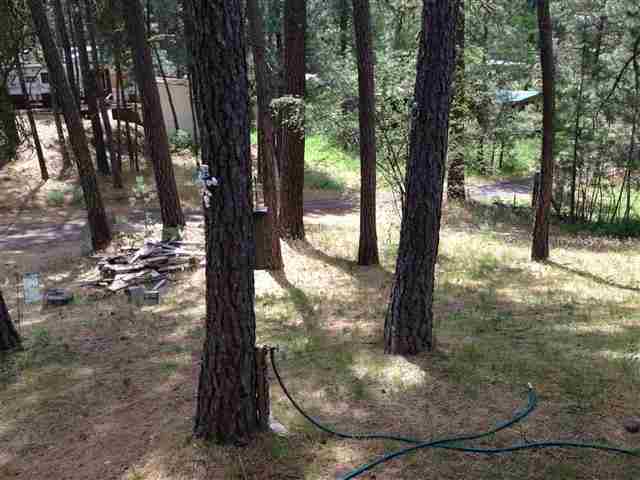20914 W Frontier Way - Photo 15