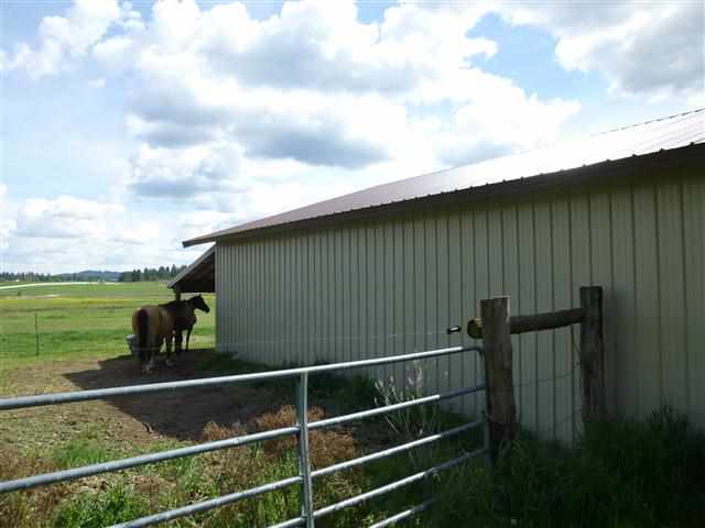 8312 W Staley Rd. - Photo 6