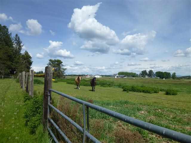 8312 W Staley Rd. - Photo 9