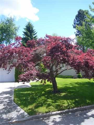 7306 N Mahr Ct - Photo 20