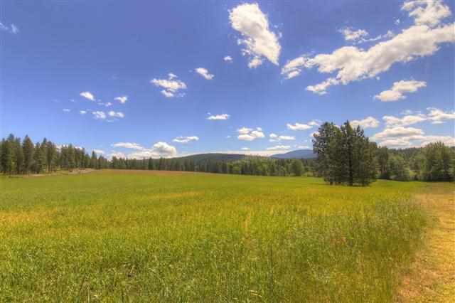 13310 E Blanchard Rd - Photo 11