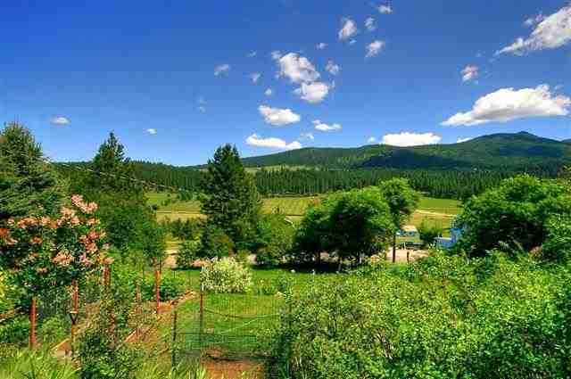 101 N Idaho Rd - Photo 19
