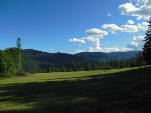 224 ANDERSON Rd - Photo 3