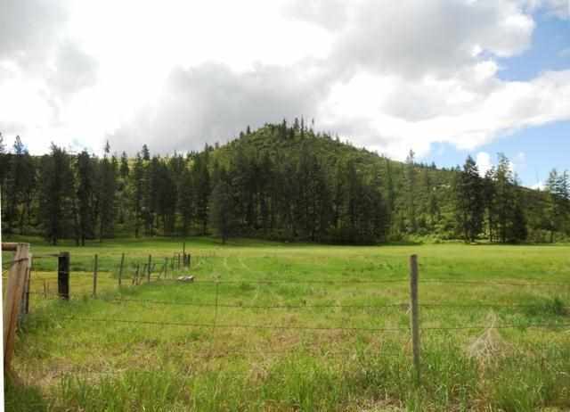 4565 Hwy 231 - Photo 11