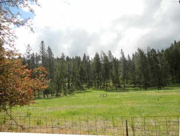 4565 Hwy 231 - Photo 12