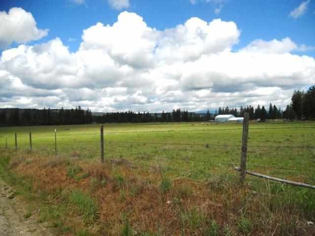 4565 Hwy 231 - Photo 13
