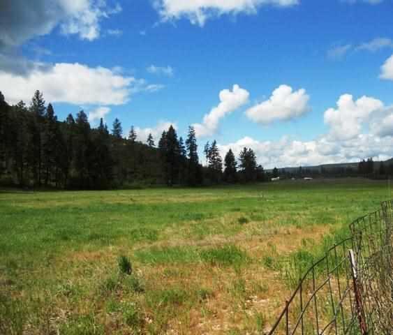 4565 Hwy 231 - Photo 15