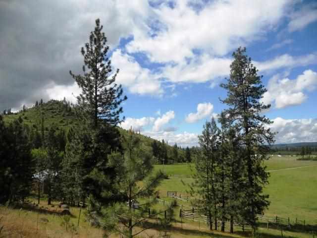 4565 Hwy 231 - Photo 17
