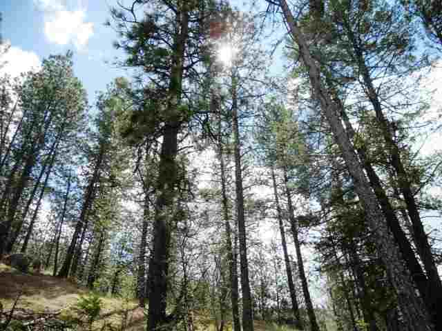 4565 Hwy 231 - Photo 18