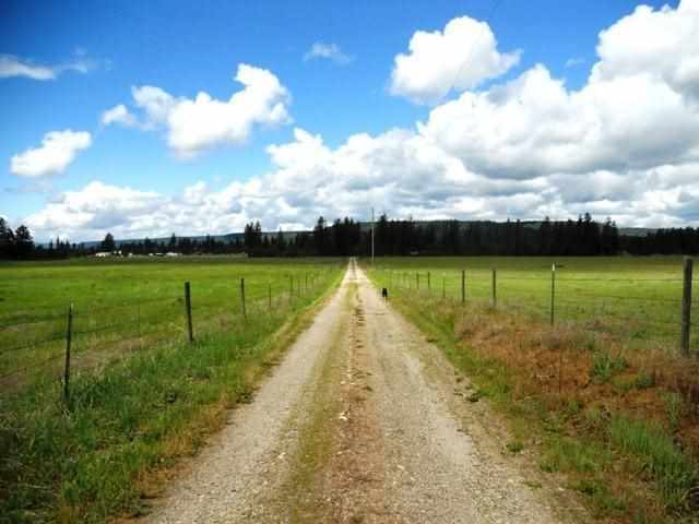 4565 Hwy 231 - Photo 4
