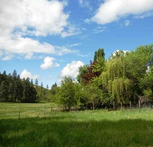 4565 Hwy 231 - Photo 10