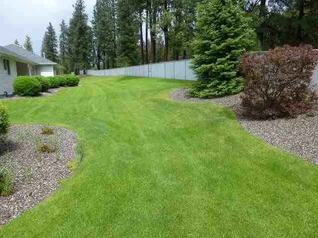 11124 N Mayfair Rd - Photo 14