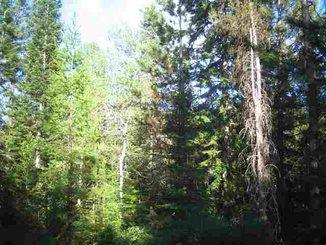 0009 Reynolds Creek Rd - Photo 11