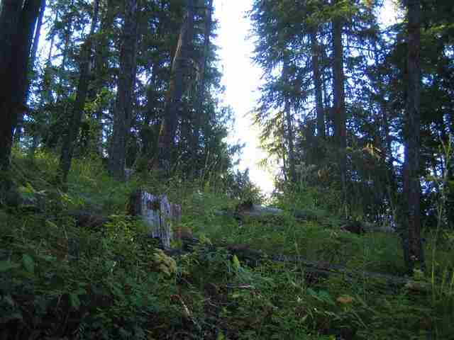 0009 Reynolds Creek Rd - Photo 12