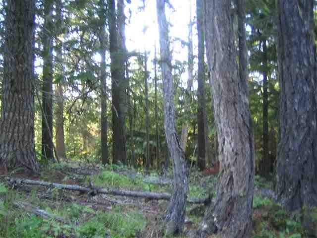 0009 Reynolds Creek Rd - Photo 14