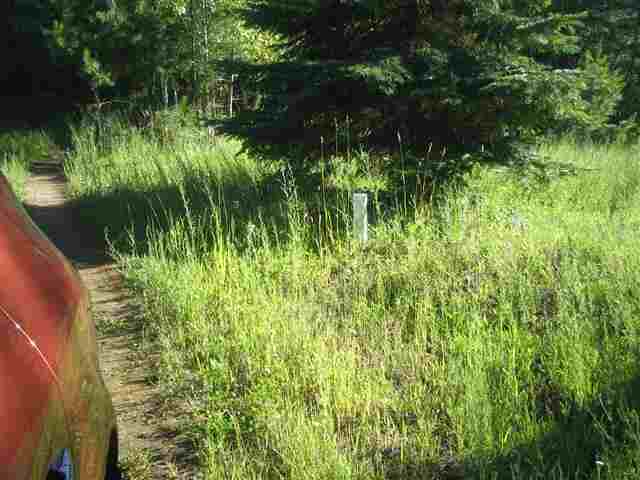 0009 Reynolds Creek Rd - Photo 3