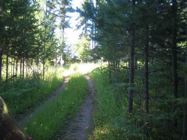 0009 Reynolds Creek Rd - Photo 6