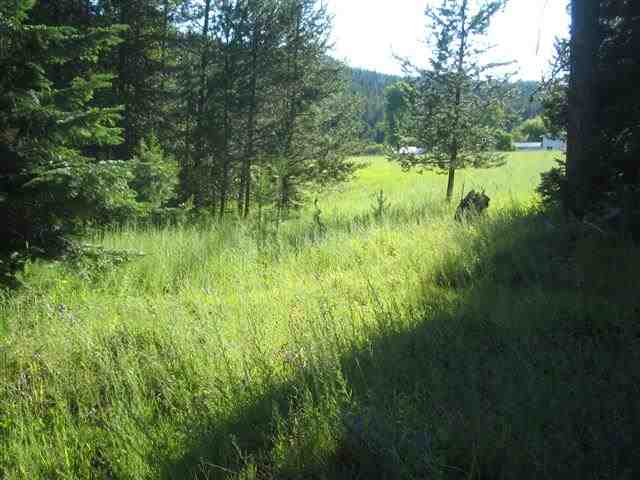 0009 Reynolds Creek Rd - Photo 7