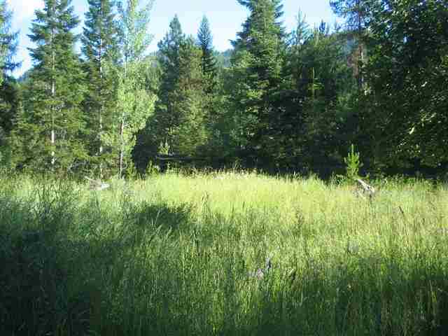 0009 Reynolds Creek Rd - Photo 8