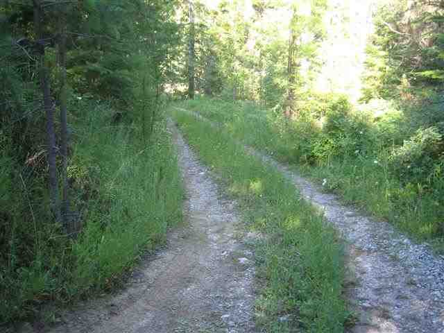 0009 Reynolds Creek Rd - Photo 9
