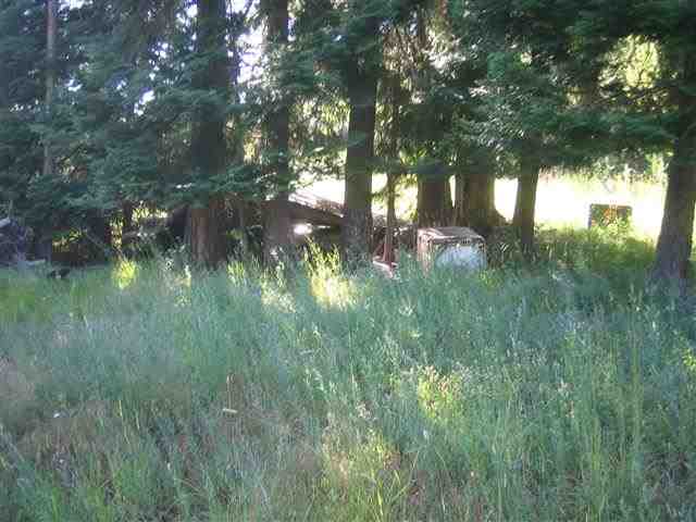 0009 Reynolds Creek Rd - Photo 10