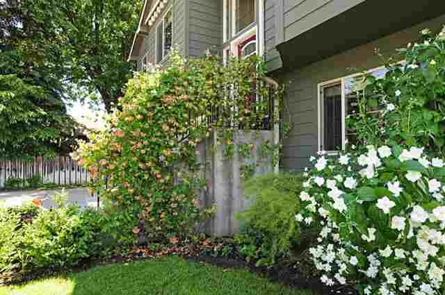 3522 E 27th Ave - Photo 4